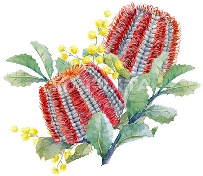 AdvertiseHere.pngimages/Gregs_Native_Landscapes.png
